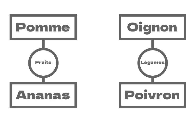Réseau fruits et réseau légume